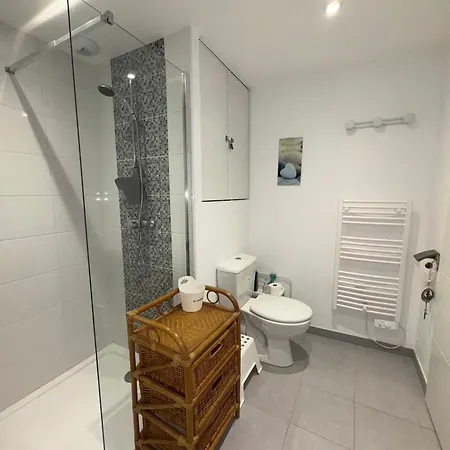Cosy Moderne Avec Terrasse Et Parking, A 50m De La - Fr-1-323-569 סנט-אילר-דה-רייה