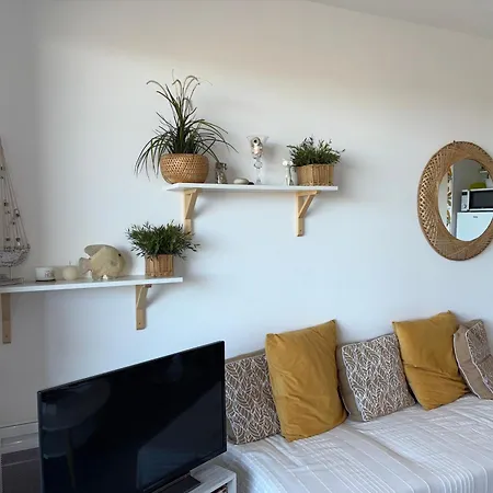 Cosy Avec Vue Mer, Parking Prive, 2 - Fr-1-323-569 Apartment